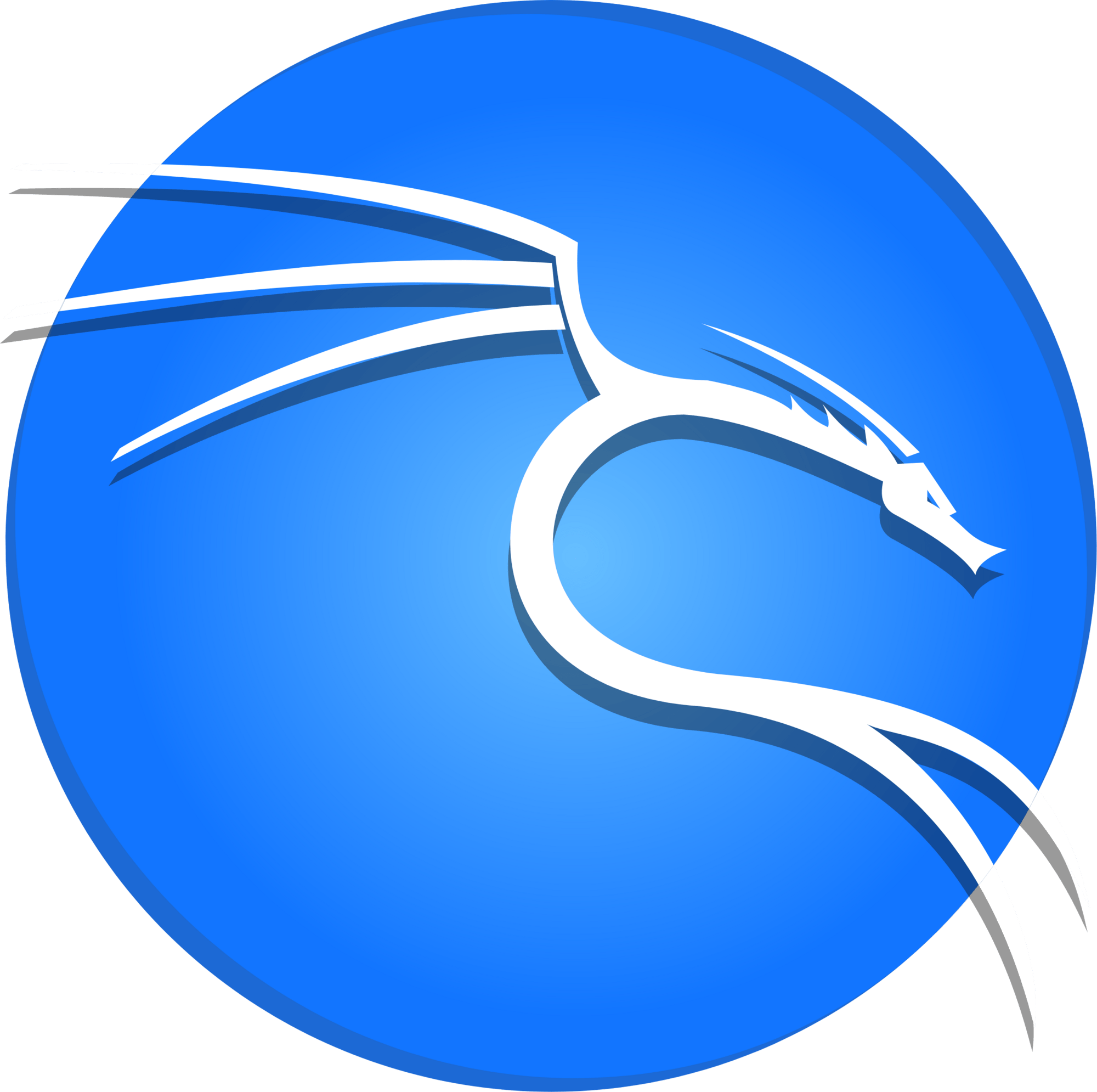 Kali Linux skill