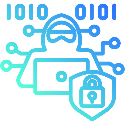 Penetration Testing